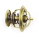 VALVULA TERMOSTATICA MOTOR AP 87C°