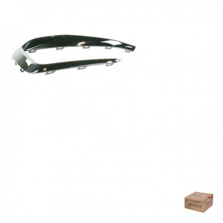 Friso de Moldura de Farol de Milha Preto Brilhante Esquerdo Polo Virtus