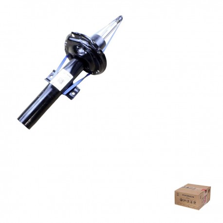 Amortecemos Dianteiro Polo